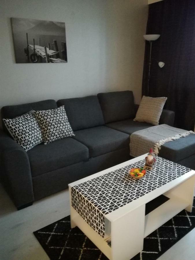 A Lovely One-Room Apartment Near The City Centre. Вааса Екстер'єр фото